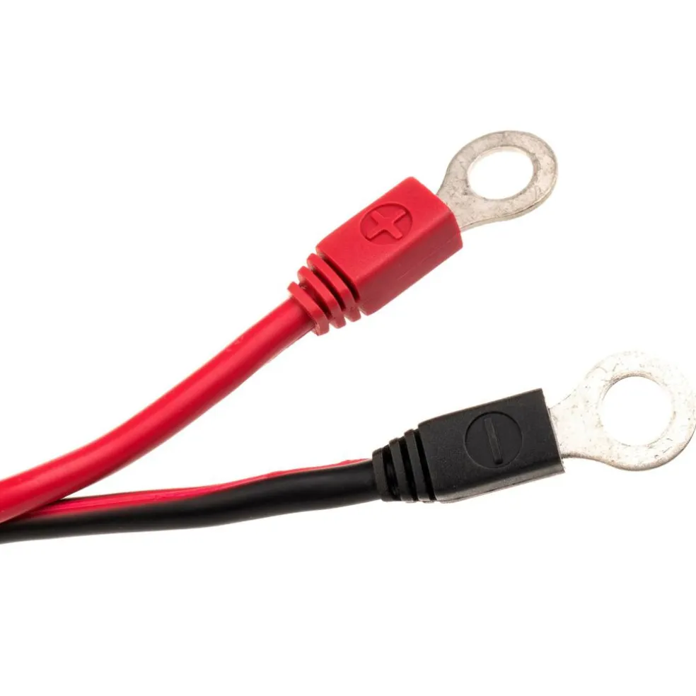 Victron Energy Blue Smart IP65 acculader 25A