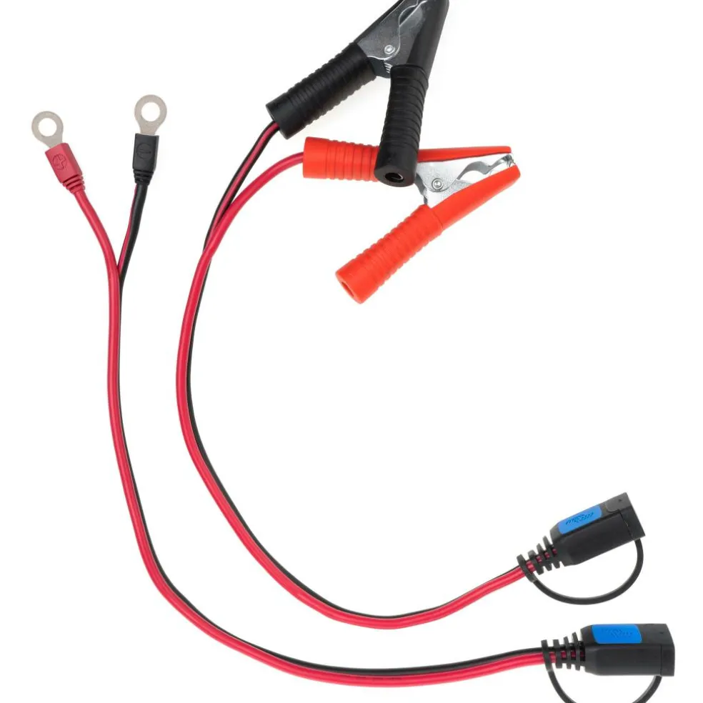 Victron Energy Blue Smart IP65 acculader 25A