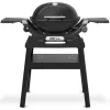 Weber Q 1200N gasbarbecue black inclusief onderstel