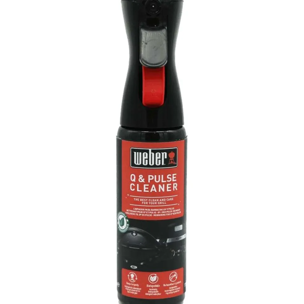 Weber reiniger voor Q en Pulse-series