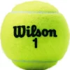 Wilson Championship tennisballen